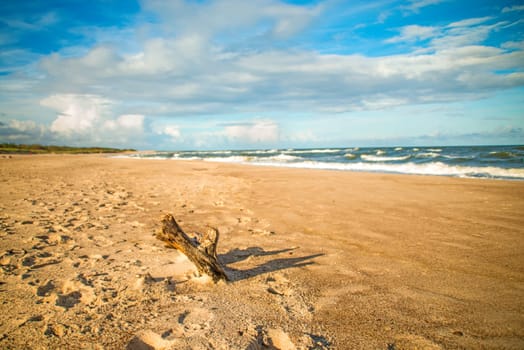 lonesome beach of the Baltic Sea with human track