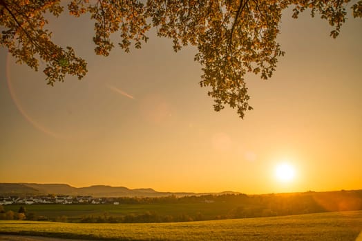sunset in autumn with tree