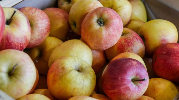 the organic apples on the market place