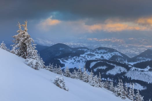 a beautiful snowstorm in Piatra Craiului Mountains, Romania