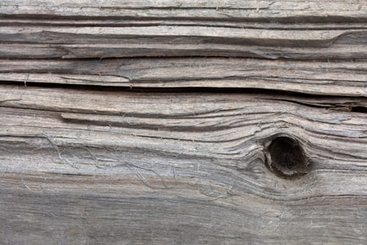 Structure from old wooden Background in Detail
