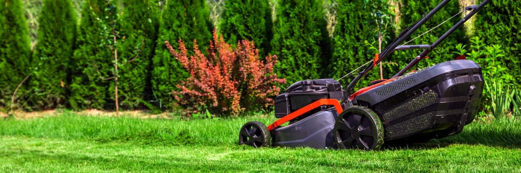 Lawn mower cutting tall green grass in backyard