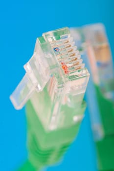 connection - a lan cable in closeup