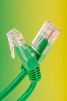 connection - a lan cable in closeup