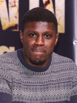 WBC Junior World Heavyweight Champion Peter Kadiru SES Boxing PK Boxing Gala March 28,2020 Magdeburg