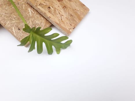 The use of renewable materials that are natural and environmentally friendly. Will be able to help reduce global warming