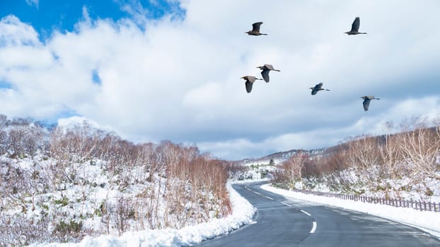 The Foggy morning in the mountains with flying birds over silhouettes of hills