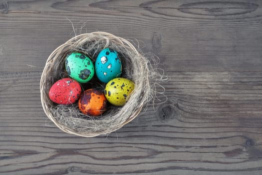 Colored Easter eggs and nest on wooden table background. Painted quail eggs.
