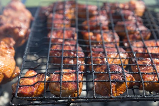 Barbecue grill with meat on nature, outdoor, close up