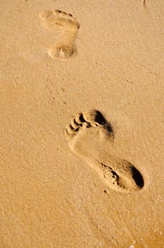 Footprints on sand beach in the morning during summer vacation in Cyprus