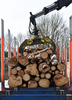 Wooden transporter