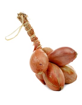 a several shallots braid on white background