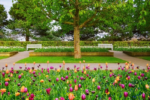 Spring in the park. Lisse, the Netherlands.