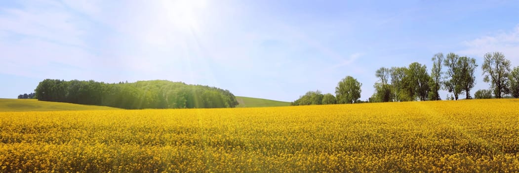 Panorama view on a rural tranquil landscape with lines of trees, woods and fields, in North Germany.