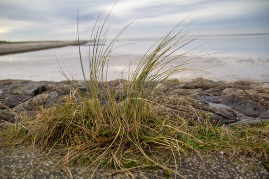Haven and close surroundings in Neuharlingersiel East Friesia