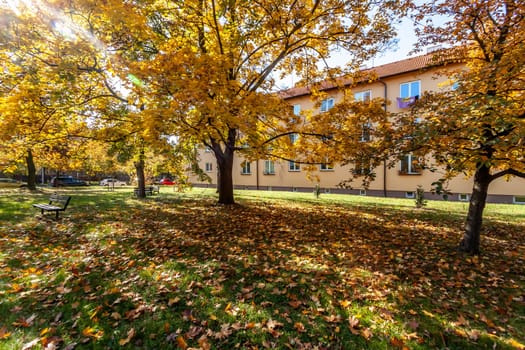 autumn time in Pardubice city. High quality photo.