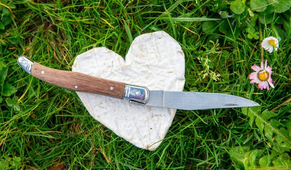 French Neufchatel cheese with knife on the grass