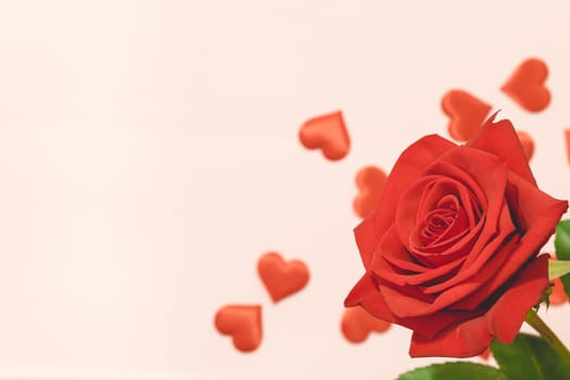 Valentine's day background,Red rose with red hearts and gift box on pink background,For card and wedding background. Copyspace