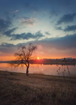 Idyllic sundown scene, steppe landscape vertical photo with a bare lone willow tree on the dry grass meadow near the pond. Silent evening mood, countryside background.