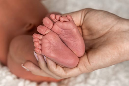A close-up of tiny baby feet. High quality photo