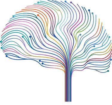 brain  internal connection memory