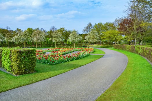 Spring in the park. Lisse, the Netherlands.