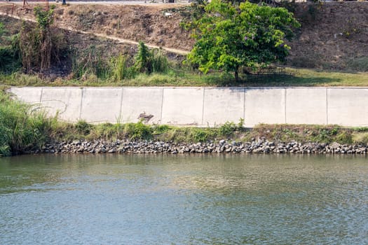 stone barrier river nature sunny water stream