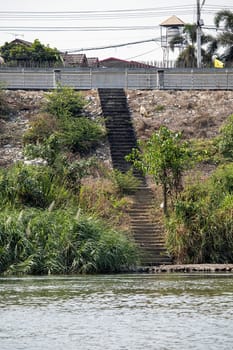 concrete cement  stairs steps outdoors sunny vegetation energy cables