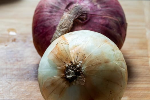 onion raw white and purple vegetable fresh macro detail