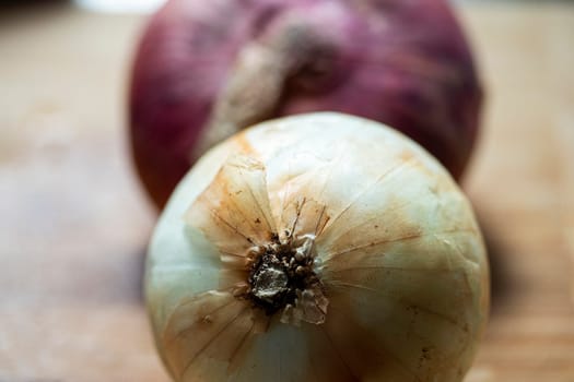 onion raw white and purple vegetable fresh macro detail