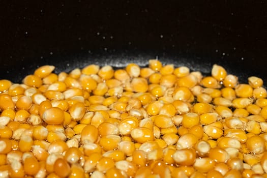 corn popcorn seed raw macro yellow oil