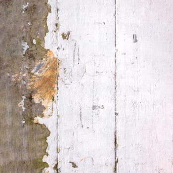 White painted old cracked wood background. Grungy and weathered white grey painted peeling off wooden wall plank texture background marked by long exposure to the elements outdoors. Ideal for concepts and backgrounds.