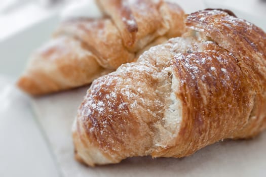 Two Freshly baked croissants on a tray. Concept of good morning.