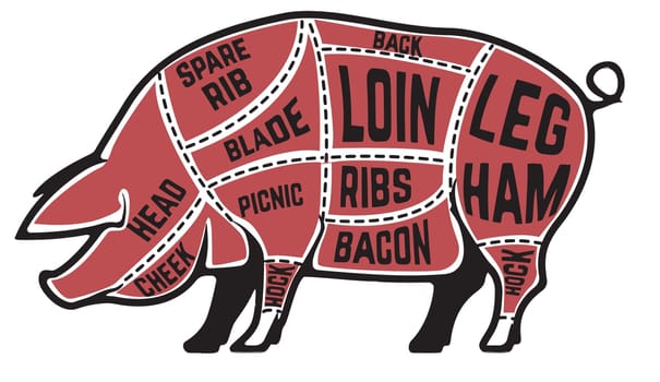 butcher cut meat pig  food parts colorful illustration