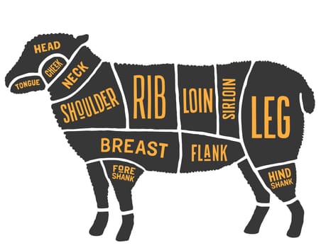 cuts of meat sheep butcher food animal illustration