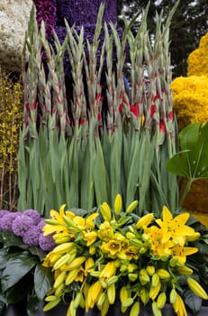 Noordwijkerhout, Netherlands - April 21,  2017: Floristic decorations  at the traditional flowers parade Bloemencorso from Noordwijk to Haarlem in the Netherlands