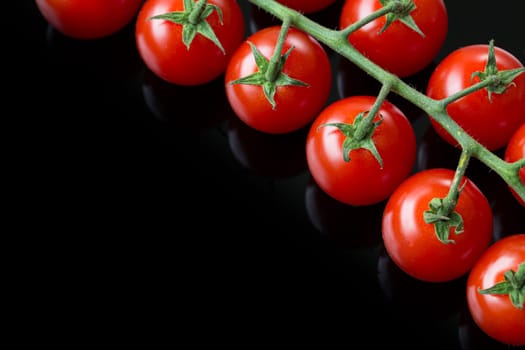Fresh cherry tomatoes on a black background. Bunch of fresh cherry tomato on a black background