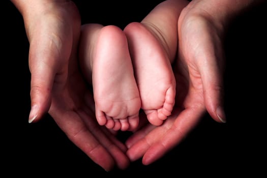 Little baby feet in mother's hands on black background