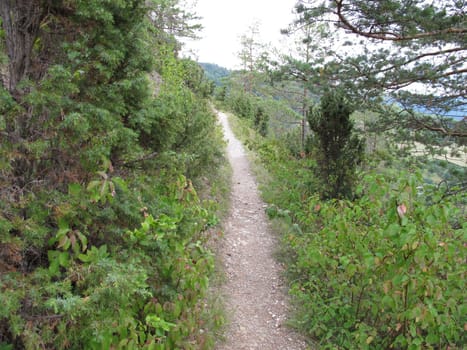 Hiking trail on the Pfaffenberg, Jena, Thuringia, Germany, August 03, 2019