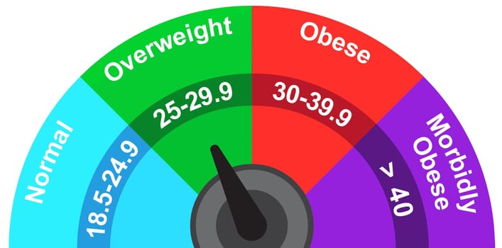 body mass index indicator meter overweight illustration