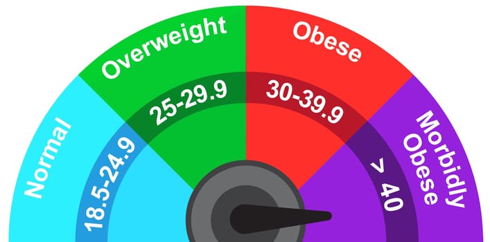 body mass index indicator meter morbidly obese illustration