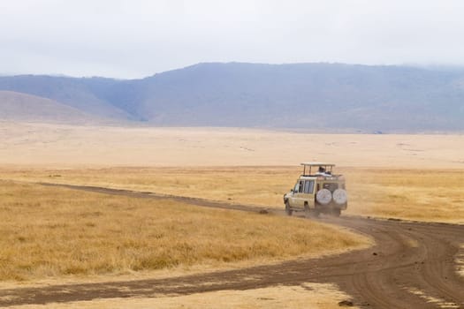 Dirt road on Ngorongoro crater, Tanzania landscape. Ngorongoro Conservation Area, Africa