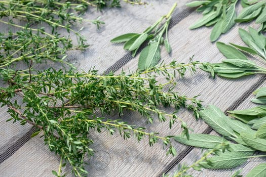 Drying fresh herbs and greenery for spice food on wooden desk background.