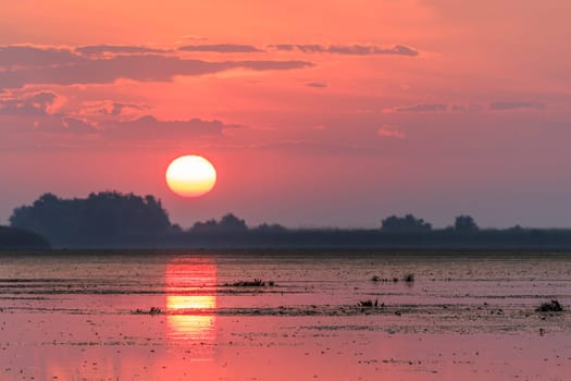 sunrise in the Danube Delta, Romania, Europe