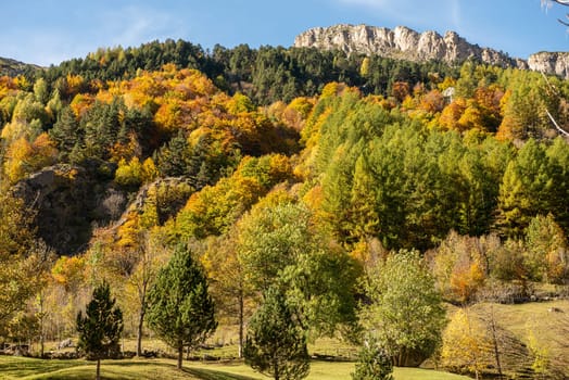 the color of autumn at the Pyrenees mountains