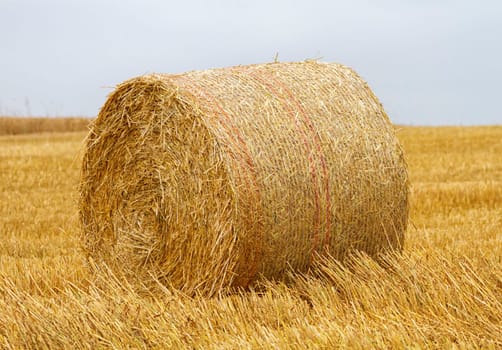 Big round bale of straw in a field after harvest by cloudy day