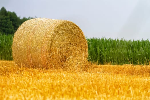 Big round bale of straw in a field after harvest by cloudy day