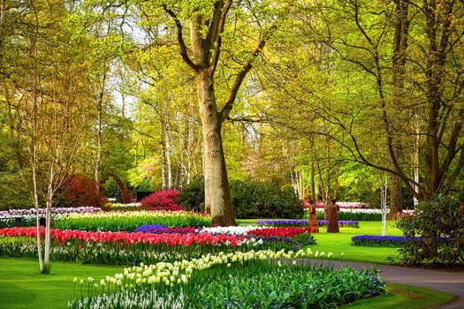 Spring in the park. Lisse, the Netherlands.