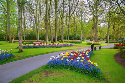 Spring in the park. Lisse, the Netherlands.