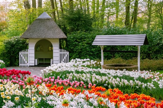 Spring in the park. Lisse, the Netherlands.